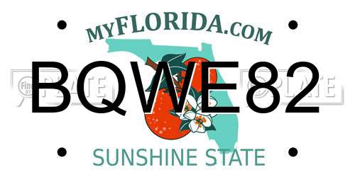 BQWE82 Florida License Plate