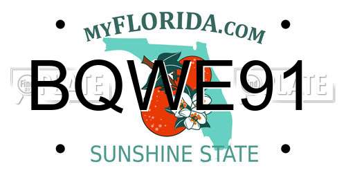 BQWE91 Florida License Plate