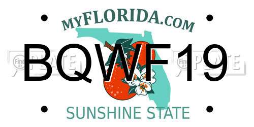 BQWF19 Florida License Plate