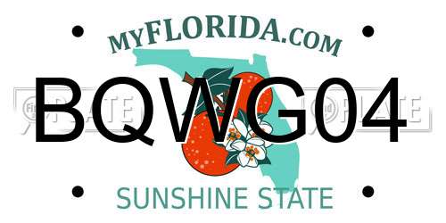 BQWG04 Florida License Plate