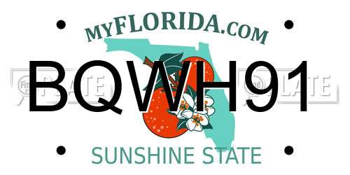 BQWH91 Florida License Plate