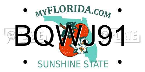 BQWJ91 Florida License Plate