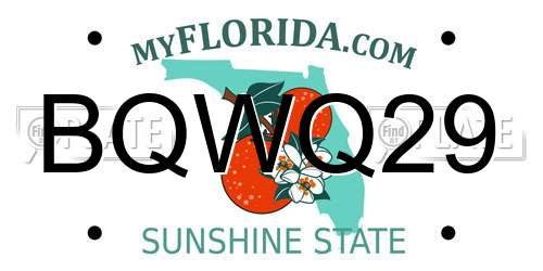 BQWQ29 Florida License Plate