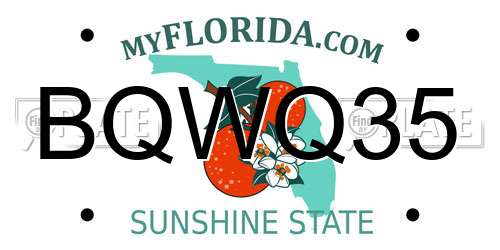 BQWQ35 Florida License Plate
