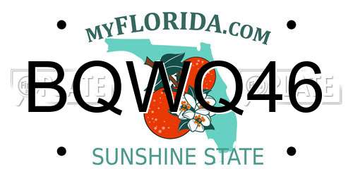 BQWQ46 Florida License Plate
