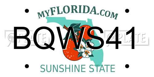 BQWS41 Florida License Plate