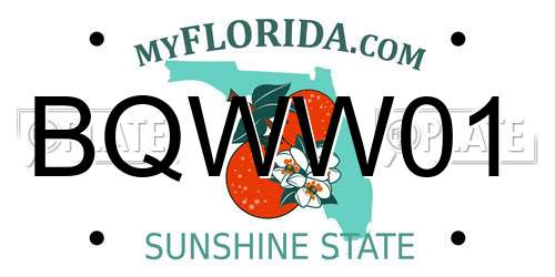 BQWW01 Florida License Plate