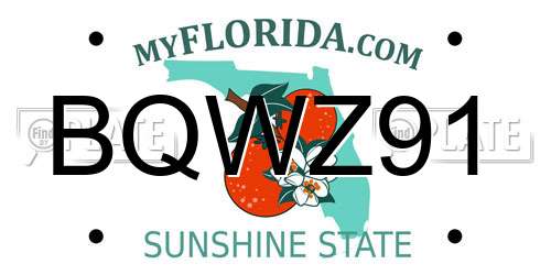 BQWZ91 Florida License Plate