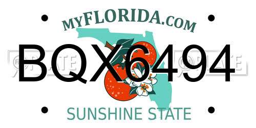 BQX6494 Florida License Plate