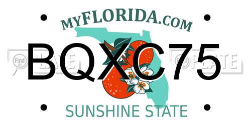 BQXC75 Florida License Plate