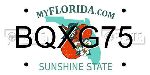 BQXG75 Florida License Plate