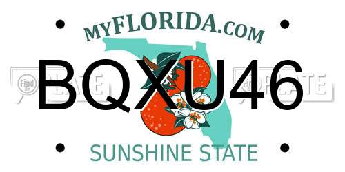 BQXU46 Florida License Plate