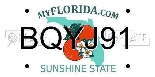 BQYJ91 Florida License Plate
