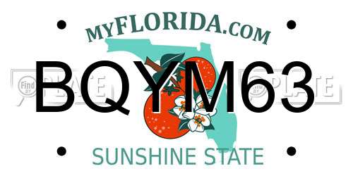 BQYM63 Florida License Plate