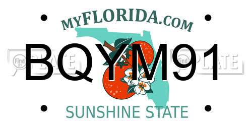 BQYM91 Florida License Plate