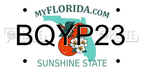 BQYP23 Florida License Plate