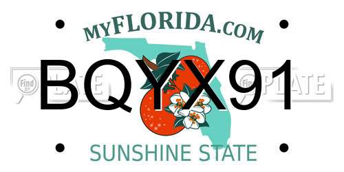 BQYX91 Florida License Plate