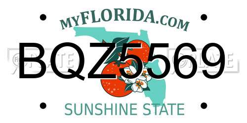 BQZ5569 Florida License Plate