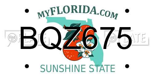 BQZ675 Florida License Plate