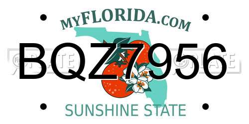 BQZ7956 Florida License Plate
