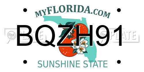 BQZH91 Florida License Plate