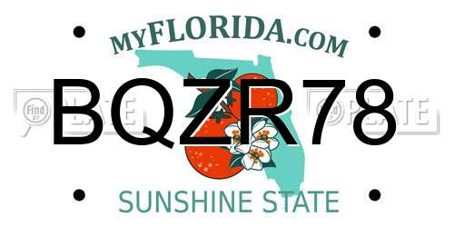BQZR78 Florida License Plate