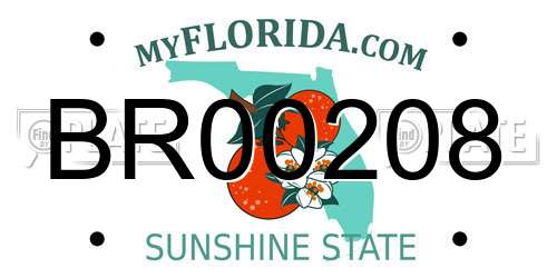 BR00208 Florida License Plate
