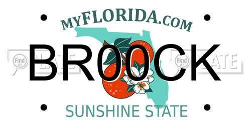BR00CK Florida License Plate