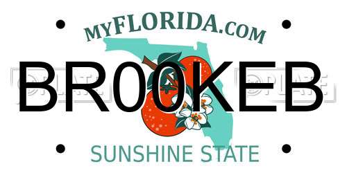 BR00KEB Florida License Plate