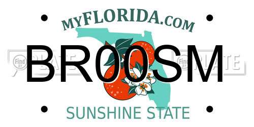 BR00SM Florida License Plate