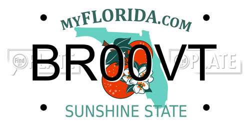 BR00VT Florida License Plate