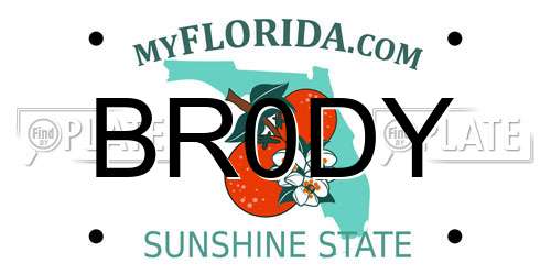 BR0DY Florida License Plate