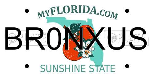 BR0NXUS Florida License Plate