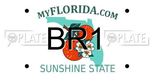 BR1 Florida License Plate