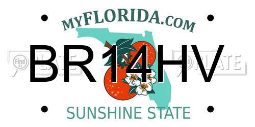 BR14HV Florida License Plate