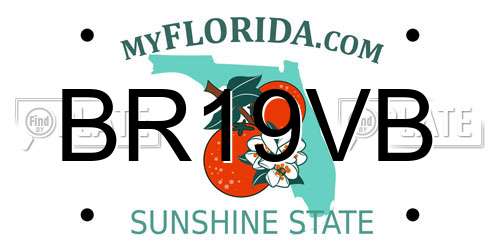 BR19VB Florida License Plate