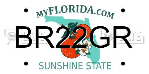 BR22GR Florida License Plate