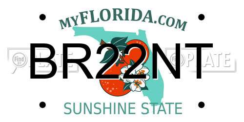BR22NT Florida License Plate