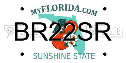 BR22SR Florida License Plate