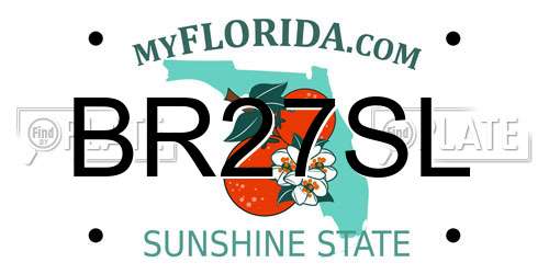 BR27SL Florida License Plate