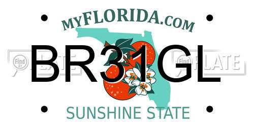 BR31GL Florida License Plate
