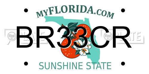 BR33CR Florida License Plate