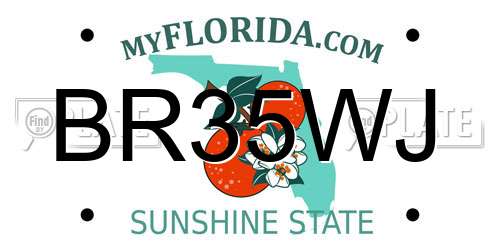 BR35WJ Florida License Plate
