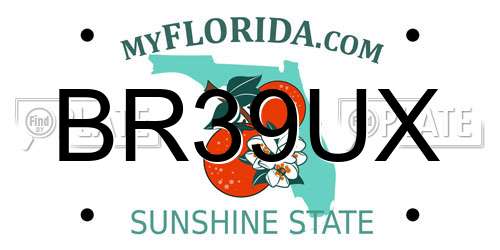 BR39UX Florida License Plate