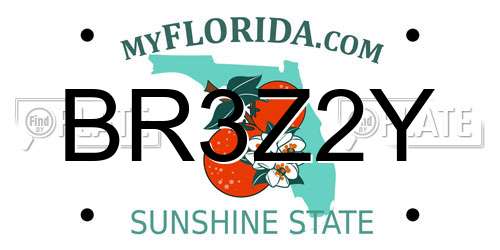 BR3Z2Y Florida License Plate