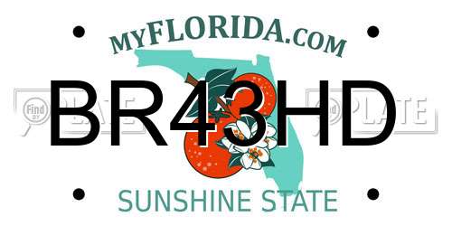 BR43HD Florida License Plate