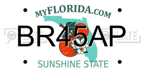 BR45AP Florida License Plate