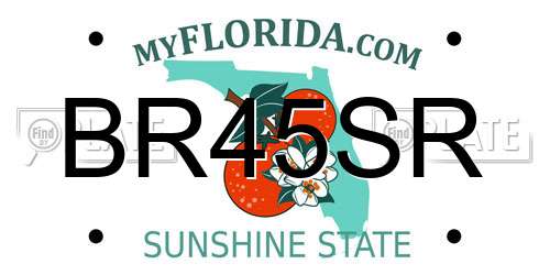 BR45SR Florida License Plate