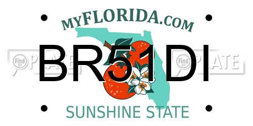 BR51DI Florida License Plate