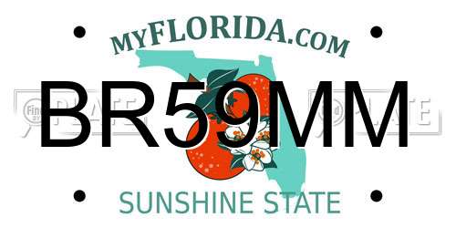 BR59MM Florida License Plate